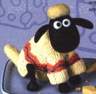 shaun